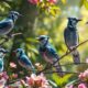 birds that look like blue jays