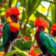 hawaii birds with red head